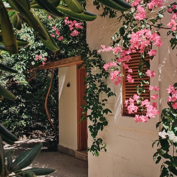 room-lover-deck-garden room-lover-deck-garden